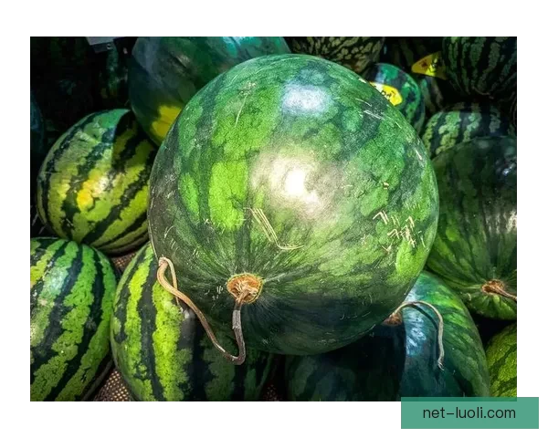 51吃瓜在线：解锁你的吃瓜宇宙，从此告别信息孤岛！