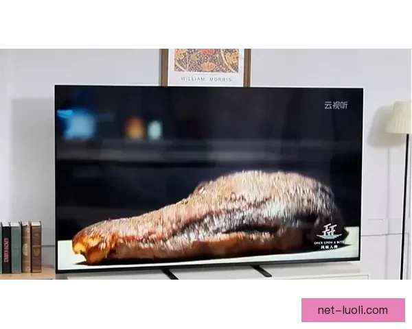 果冻传媒：触动心弦的影像盛宴，点燃你的感官体验